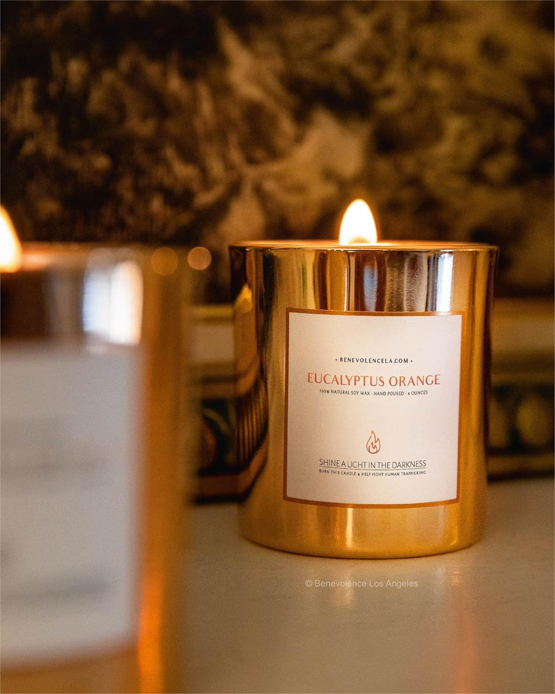 Benevolence Candles Eucalyptus Orange Wood Wick Candles, Summer Scented Candles for Women | 8 Oz Scented Candles for Home Scented | Eucalyptus Candles | Natural Candles | Men Candles | Bathroom Candle