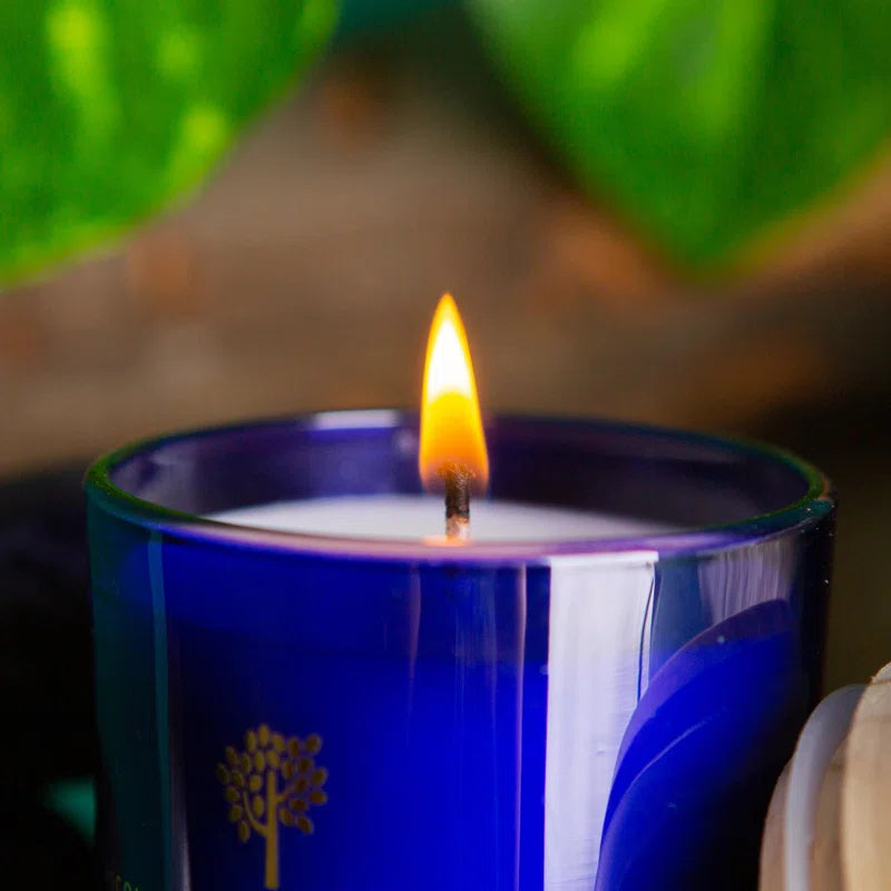 Patchouli & Rosewood Scented Jar Candle with Glass Holder